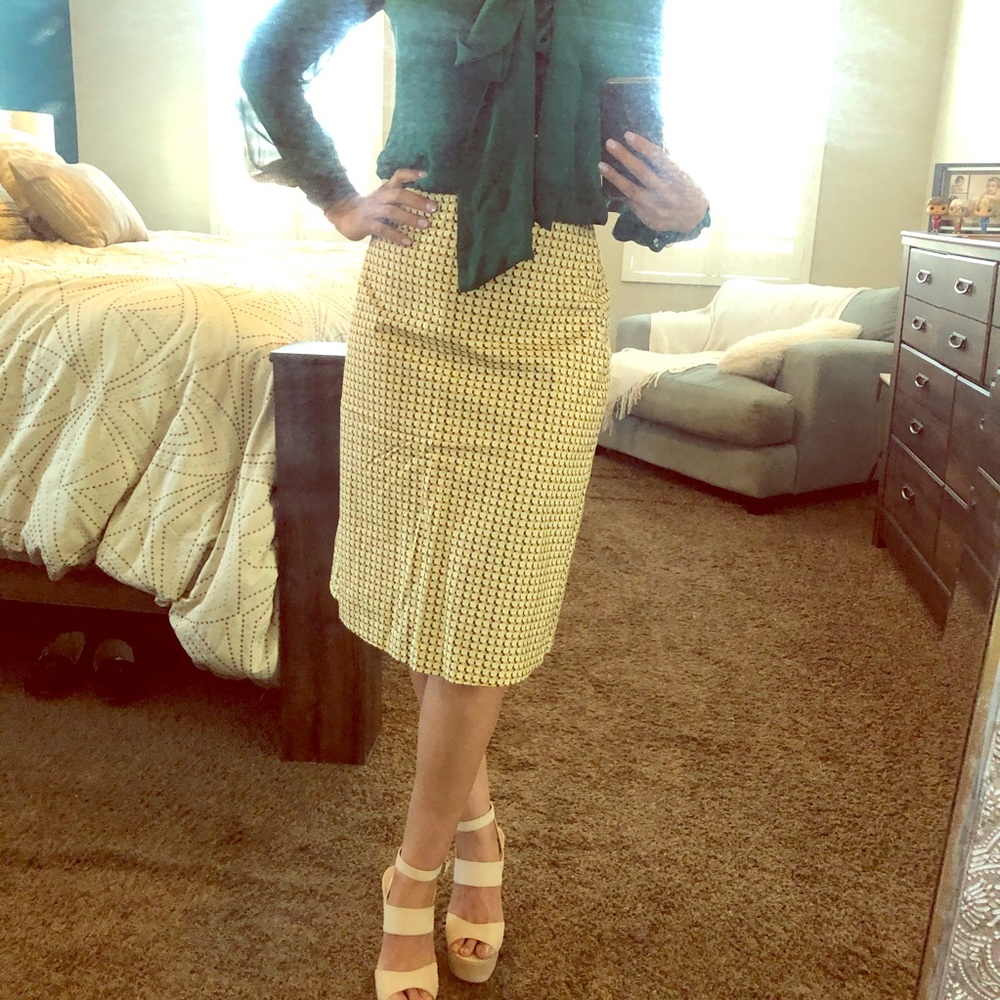 JCrew Skirt